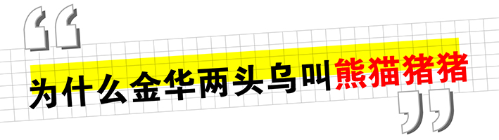 兩頭烏推文_畫(huà)板 1 副本 4.jpg