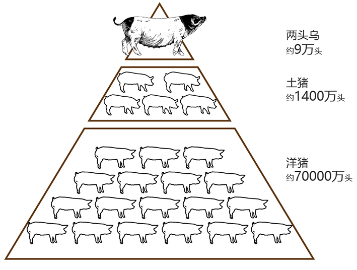 兩頭烏推文_畫(huà)板 1 副本 2.jpg
