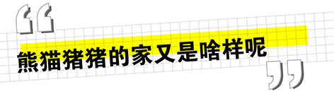 兩頭烏推文_畫(huà)板 1 副本 6.jpg